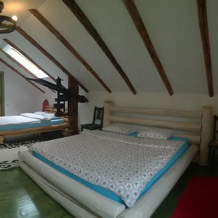 Guest house Casa Moeciu Family